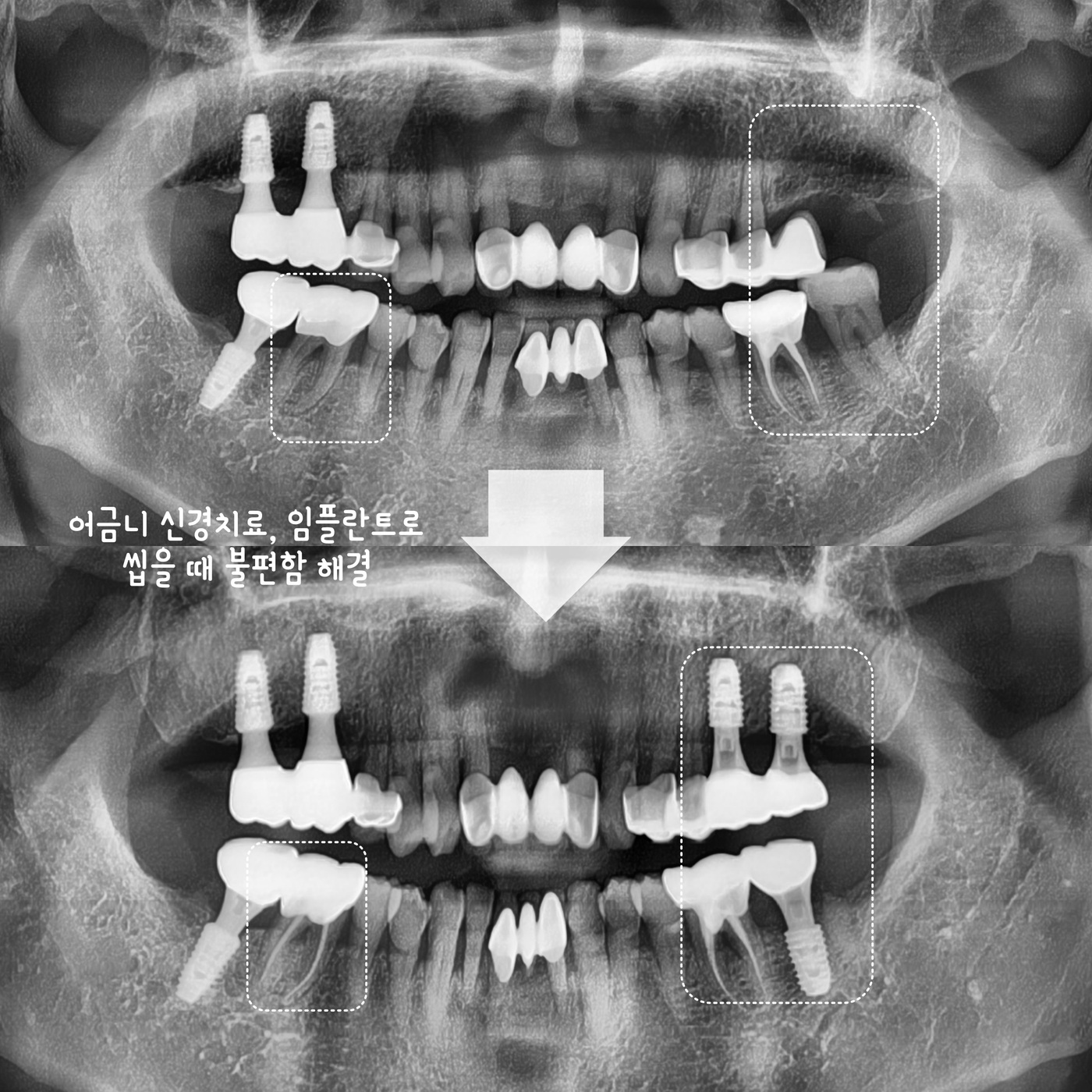 올바로치과 의료진과 진료 공간