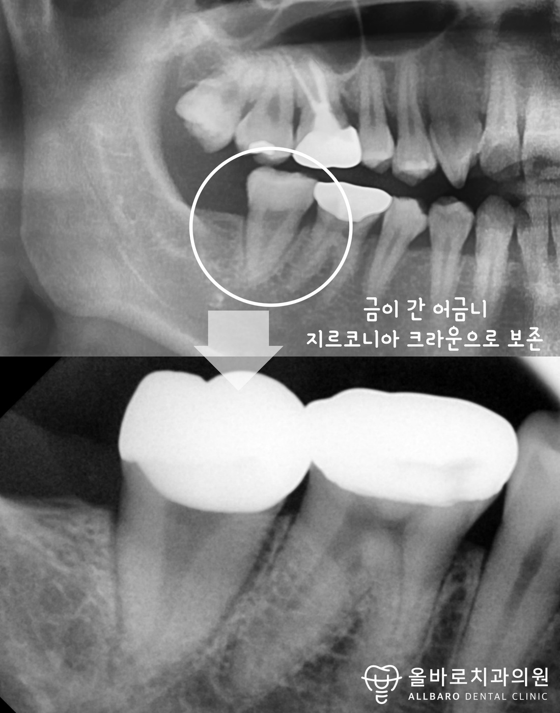 올바로치과 의료진과 진료 공간